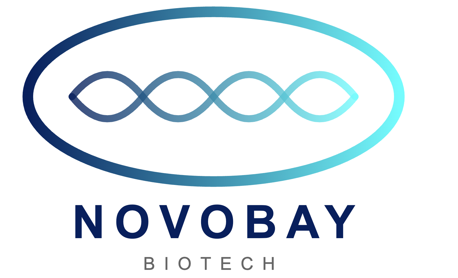 NovoBay Logo